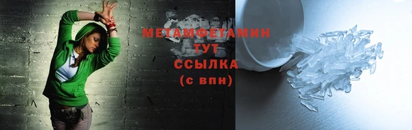 прущие грибы Нижневартовск
