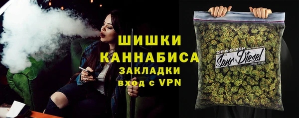 прущие грибы Магас