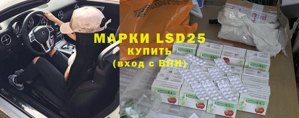 прущие грибы Магас