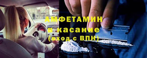 прущие грибы Магас