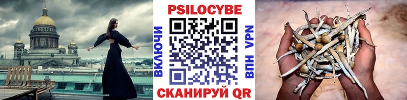 kraken как зайти  Абакан  Галлюциногенные грибы Cubensis 